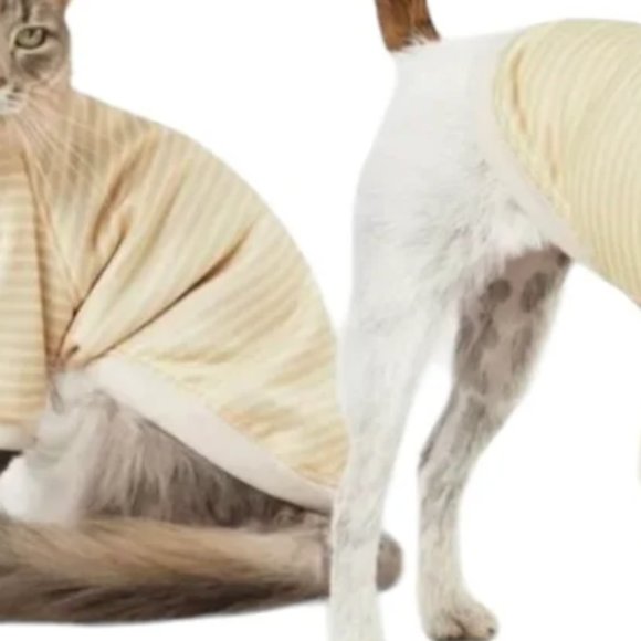 Boots & Barkley Stripe Lightweight Dog Sweatshirt - Cream warm LARGE NEW W TAGS - Picture 4 of 15